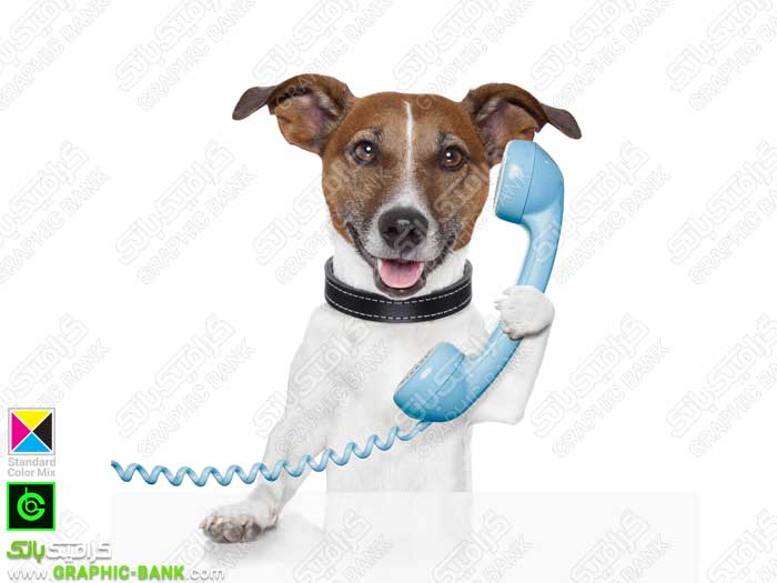 تصویر سگ در حالت صحبت با تلفن